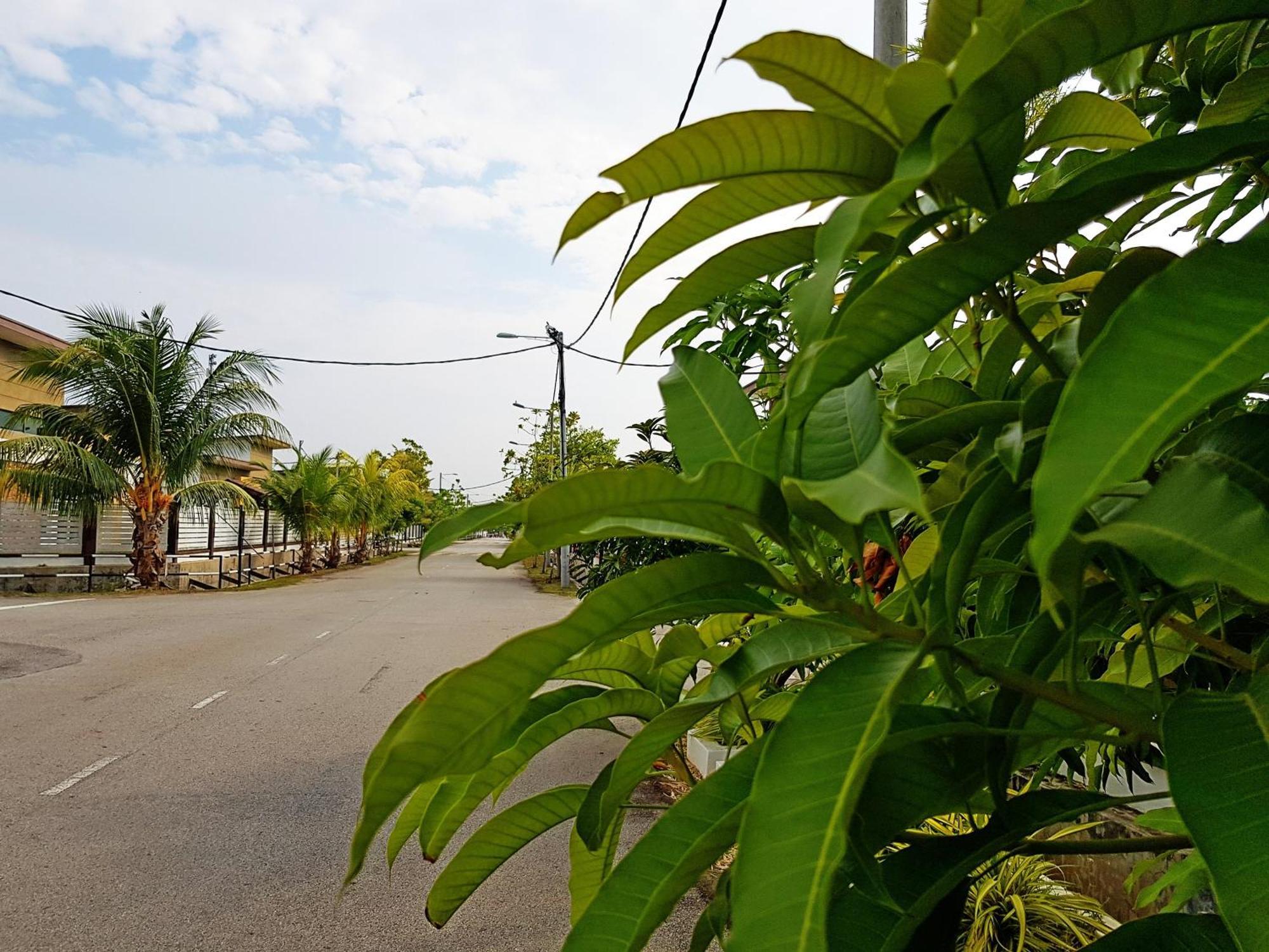 Siantan In Paya Rumput Near Std Hang Jebat, Sg Udang & Uitm Lendu Malacca ภายนอก รูปภาพ